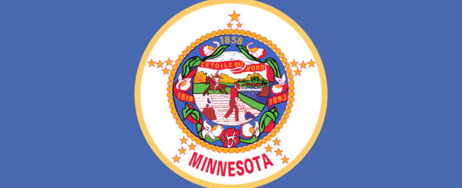 Minnesota State Flag