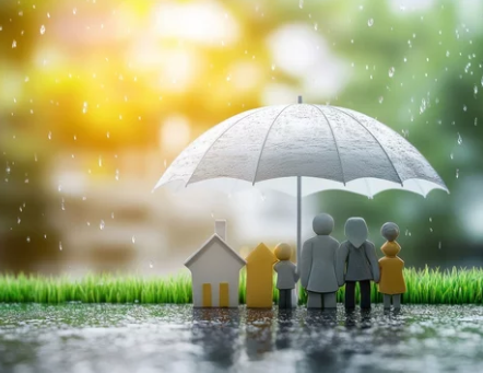 Life Insurance