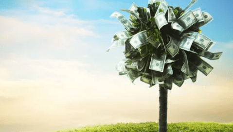 Money Tree