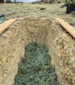Green Burial Location